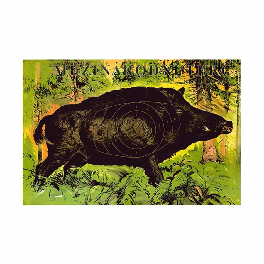 Mezinárodní terč KANEC redukovaný 620 × 420 mm 25ks