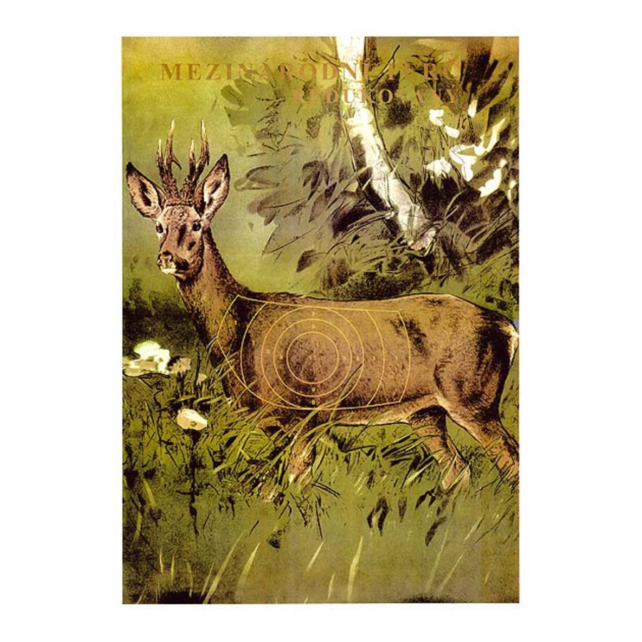 Mezinárodní terč SRNEC redukovaný 420 x 620 mm 25ks